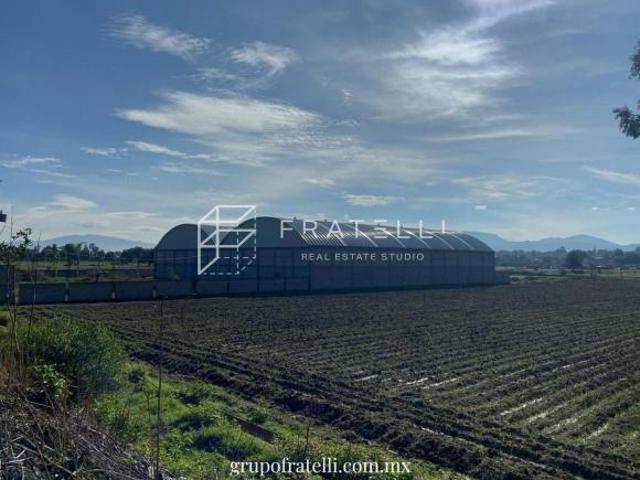 Terreno en Venta zona industrial, Tezoyuca