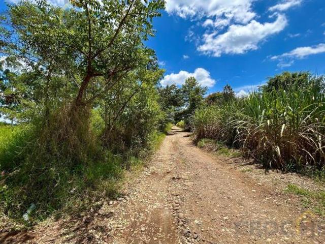 TERRENO EN VENTA ZONA LA ORDUÑA, COATEPC VERACRUZ