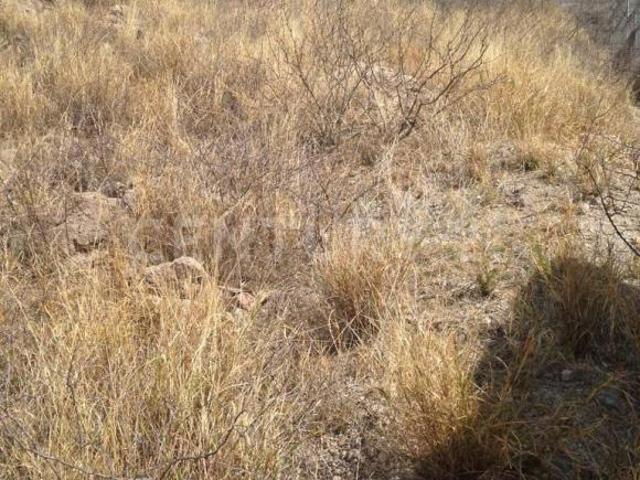 Terreno en Venta Zona las Fuentes Chihuahua