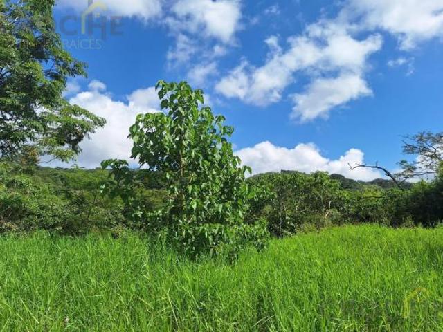 Terreno en venta, zona Las Trancas Emiliano Zapata Veracruz