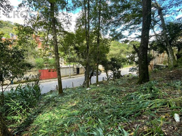 TERRENO EN VENTA ZONA MONTES DE XALAPA, COLONIA M?RTIRES DE CHICAGO, XALAPA VERACRUZ