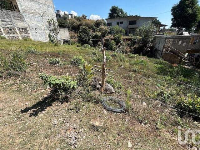 Terreno en venta, zona semi boscosa, Ahuatepec norte de Cuernavaca