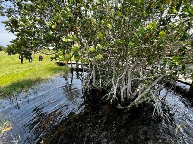 Terreno en venta zona playa Costa Esmeralda Veracruz Pueblo Riachuelos