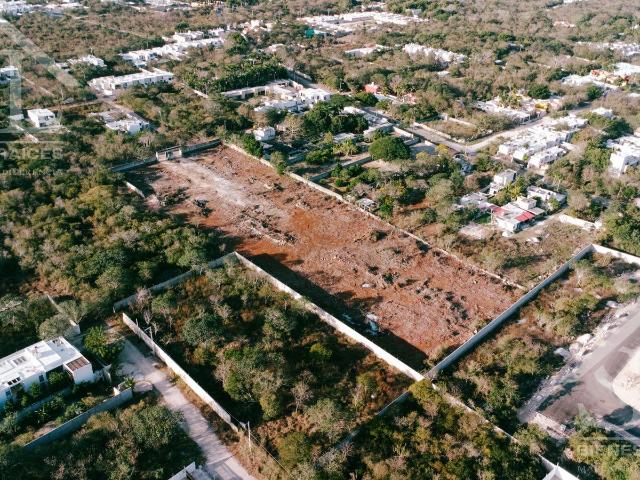 Terreno en venta, Casa habitaci?n, ideal para un desarrollo Residencial, Cholul Yucatan