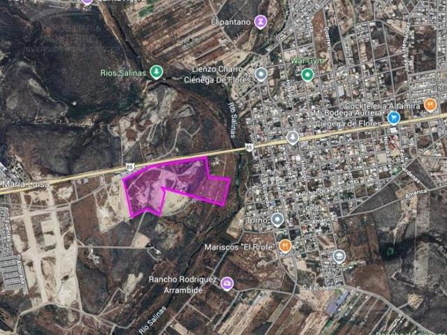 Terreno en venta 15.5 hectáreas Industrial ciénega de Flores