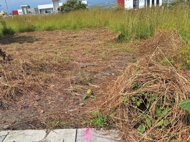 Terreno en venta, 199m2, listo para construir, frente a Lomas de Cocoyoc, Morelos