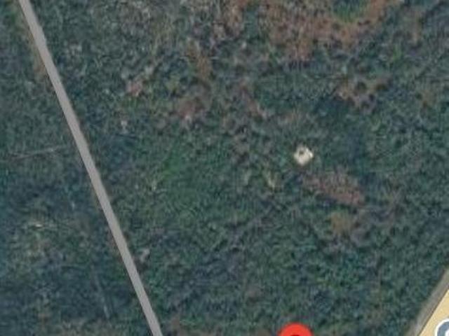 Terreno en venta 10 hectáreas Industrial ciénega de Flores