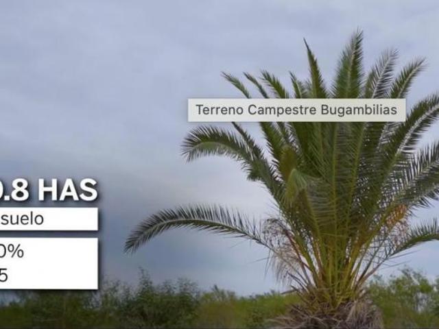 TERRENO EN VENTA 10.8 HAS CAMPESTRE BUGAMBILIAS REYNOSA