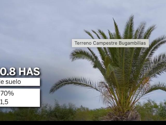 TERRENO EN VENTA 10.8 HAS CAMPESTRE BUGAMBILIAS REYNOSA