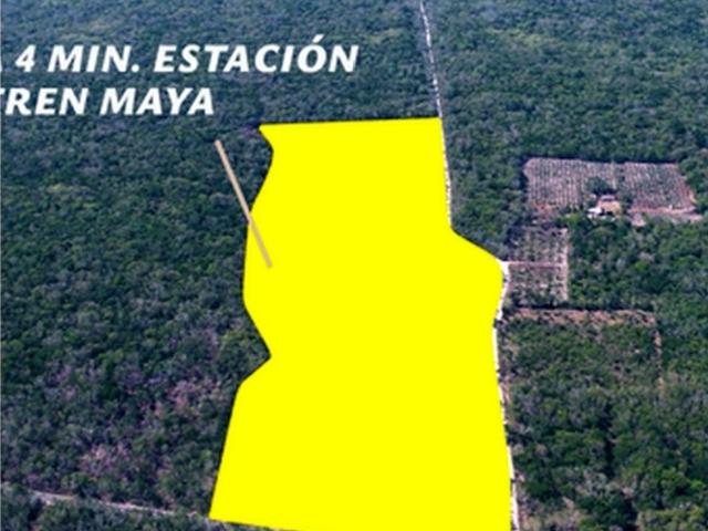 TERRENO EN VENTA, 110,387.58 M2, IDEAL PARA DESARROLLO, IZAMAL YUCAT?N