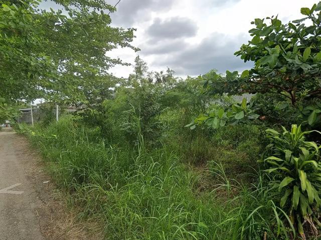 TERRENO EN VENTA