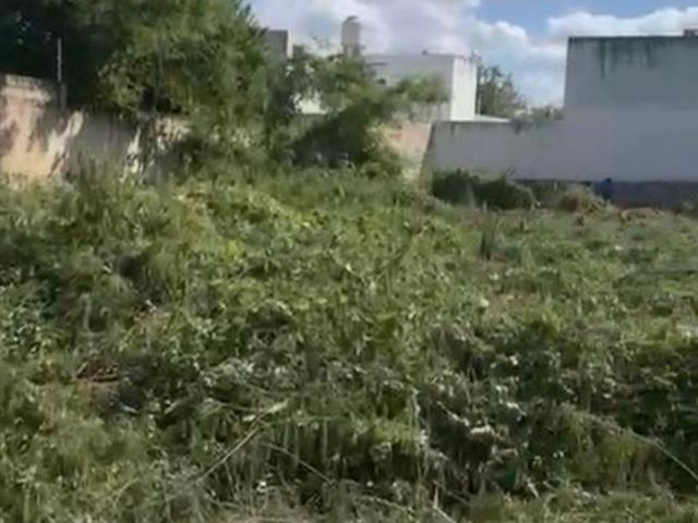 TERRENO EN VENTA, 1250 M2, IDEAL PARA DESARROLLO, CERCA DE MACROPLAZA, M?RIDA