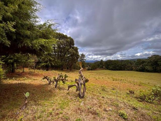 Terreno en venta 1.5 hectáreas en Valle de Bravo a solo 2hrs de la CDMX