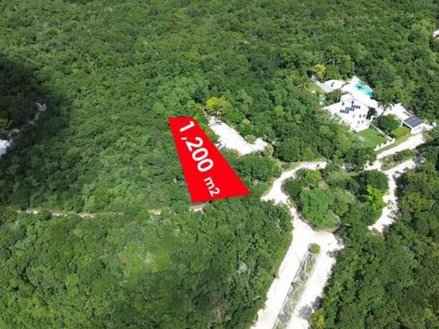 Terreno en venta $1,700m2 en La Ceiba II, Zona Country, Mérida 4