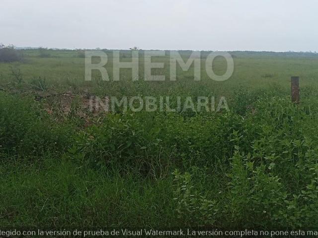 Terreno en Venta 1 Hect?rea, Petrolera, Tuxpan, Ver