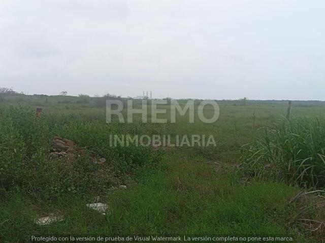 Terreno en Venta 1 Hect?rea, Petrolera, Tuxpan, Ver