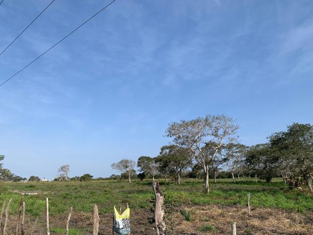 Terreno en venta