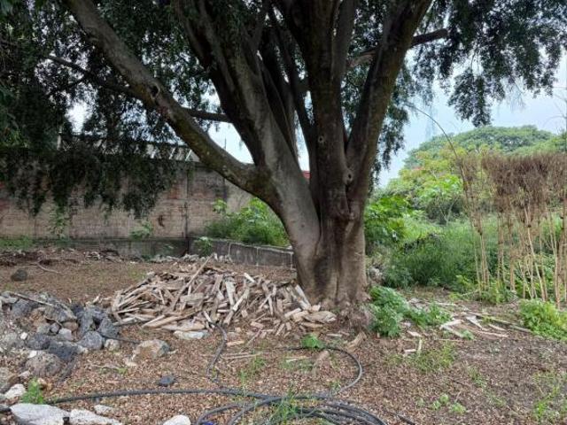 Terreno en venta