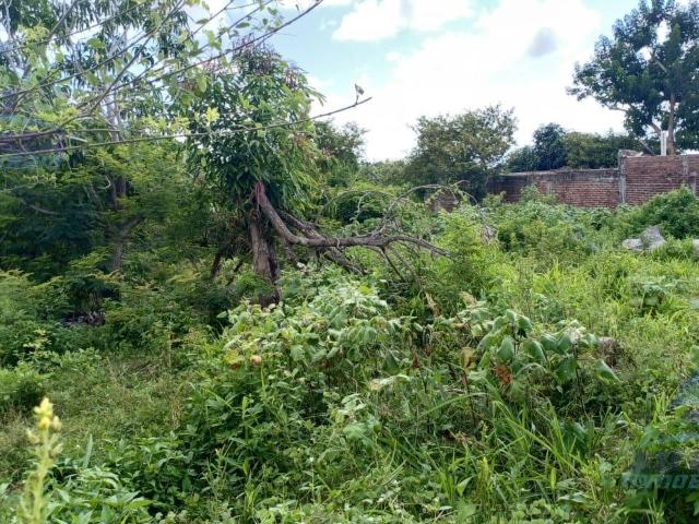 Terreno en Venta