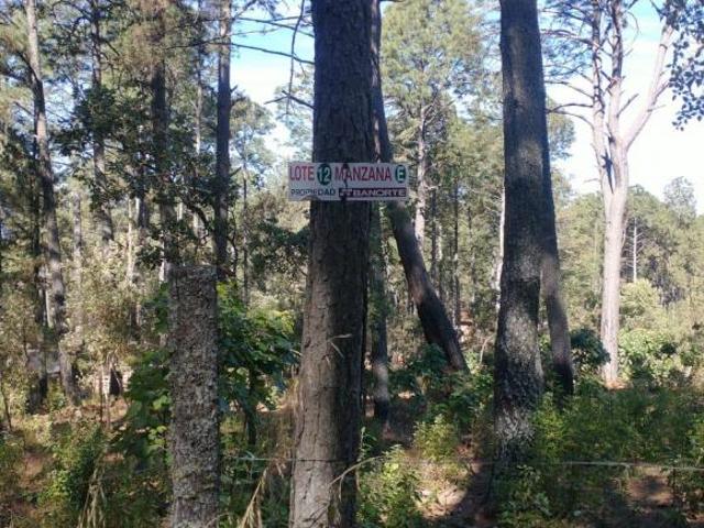 Terreno en Venta