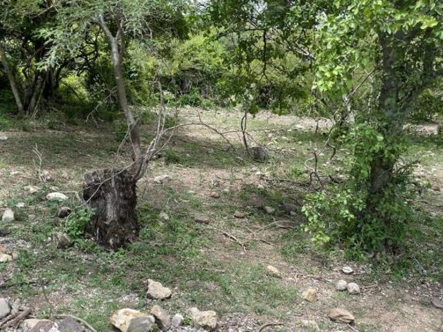 TERRENO EN VENTA