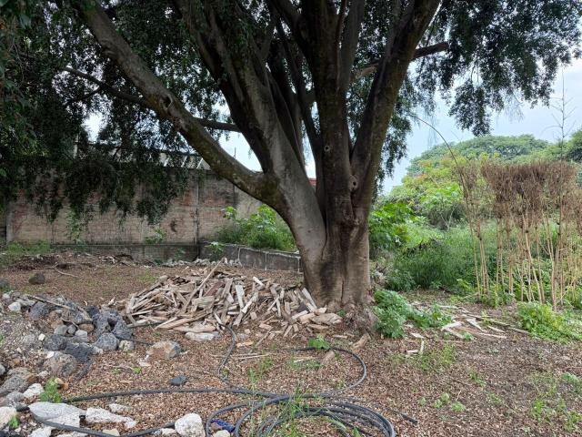 Terreno en venta