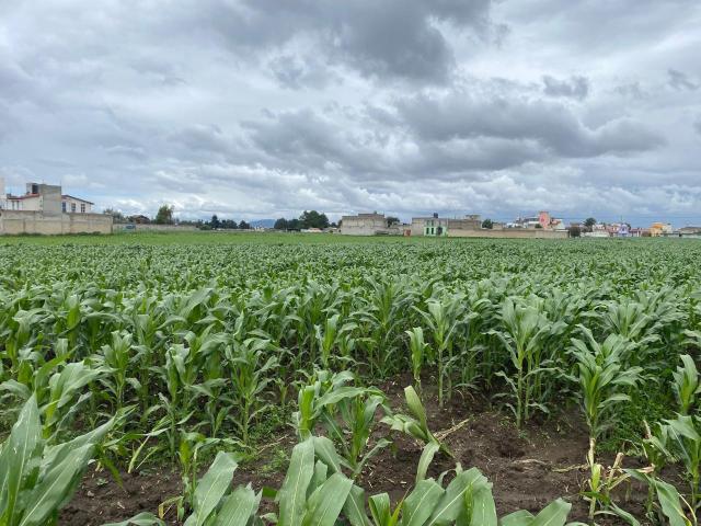 Terreno en VENTA