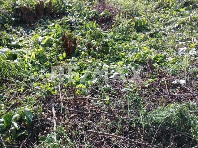 TERRENO EN VENTA