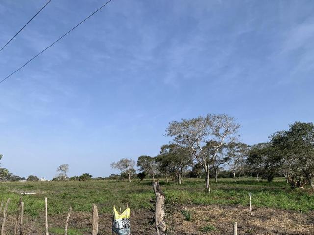 Terreno en Venta