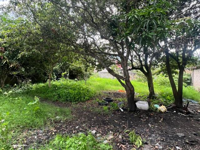 Terreno en Venta