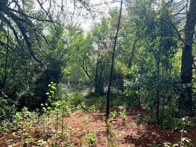 Terreno en Venta 4