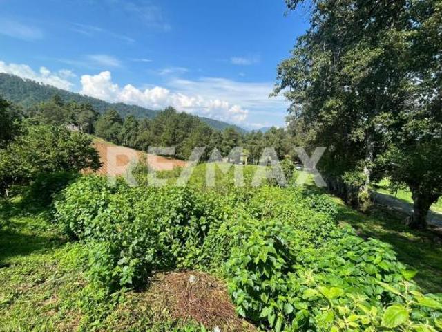 Terreno en Venta 4