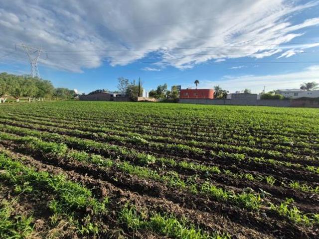 Terreno en Venta 4