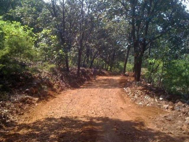 terreno en VENTA 4