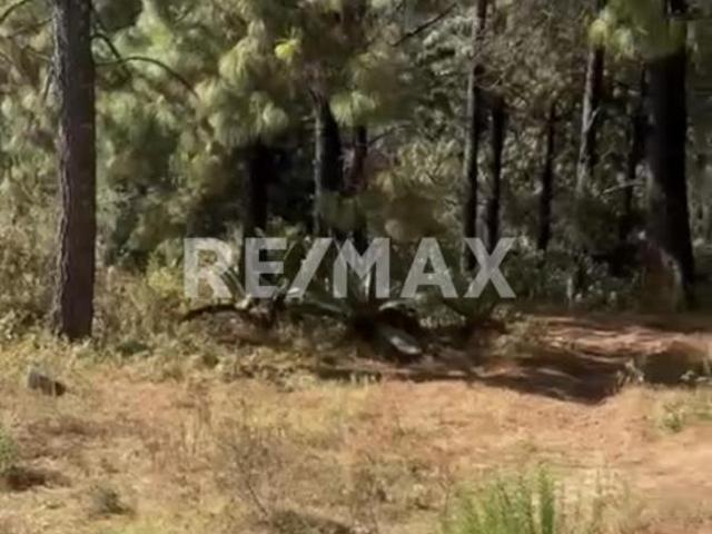 Terreno en Venta 4