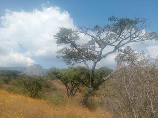 Terreno en Venta 4