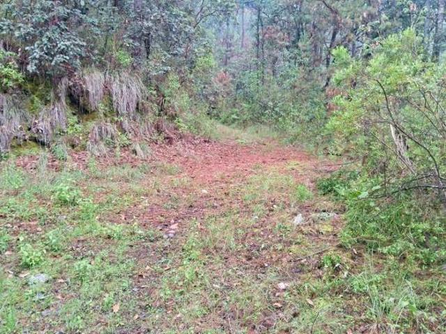 Terreno en Venta 4