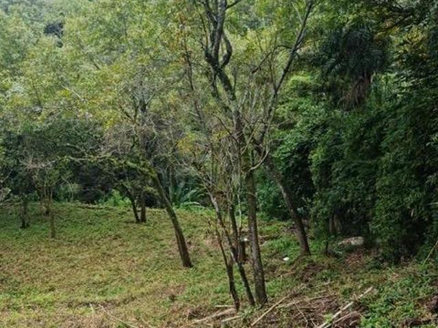 Terreno en Venta 4