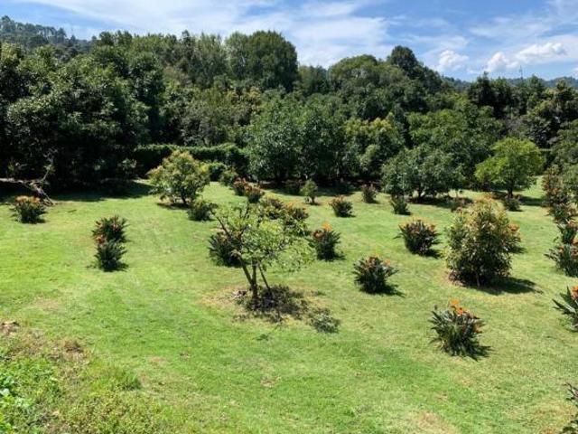 Terreno en Venta 4