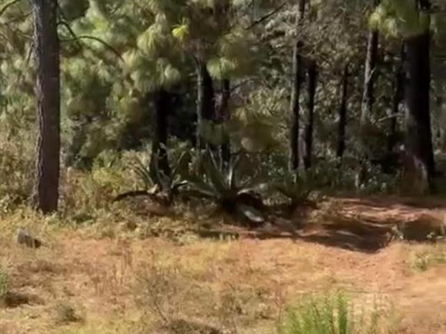 Terreno en Venta 4