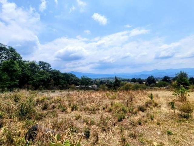 Terreno en Venta 4