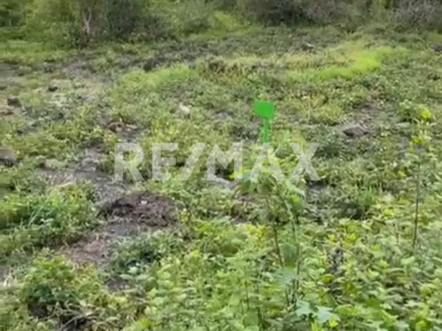 Terreno en Venta