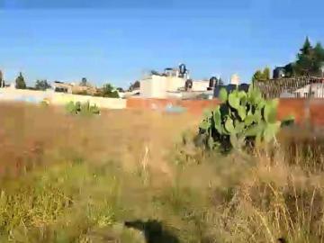 San Miguel Contla, Santa Cruz Tlaxcala, Tlaxcala