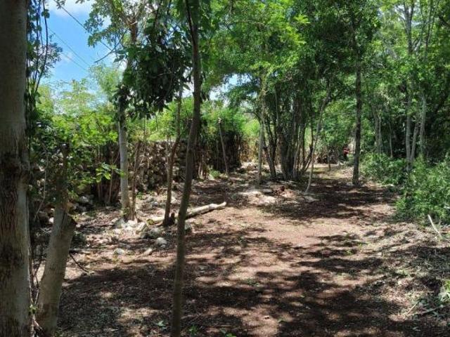Terreno en venta, 536 m2, Ciudad Izamal