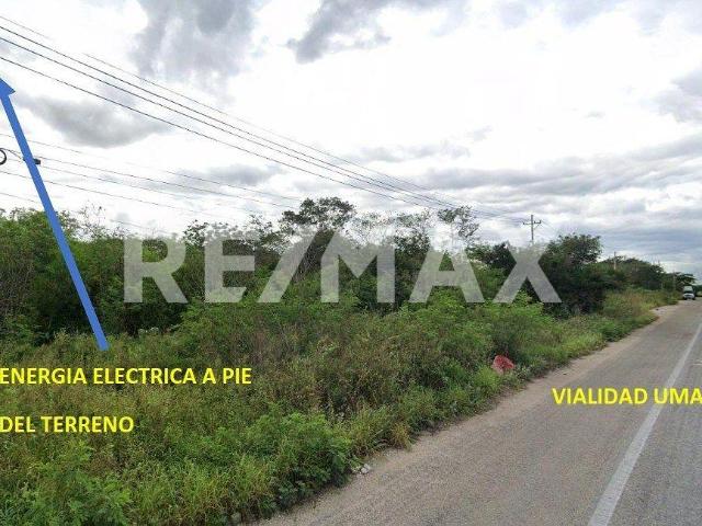 Terreno en venta 5 hectáreas $500 X m2, Poxila Umán