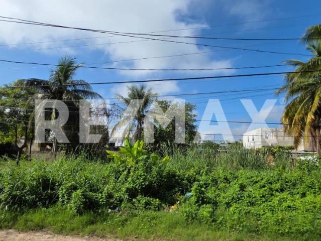 TERRENO EN VENTA