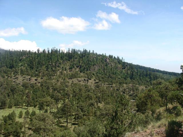 Terreno en venta