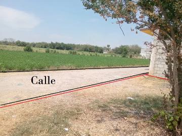 Venta de terreno con servicios factibles en Zacatepec