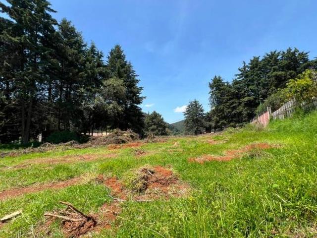 Terreno en venta