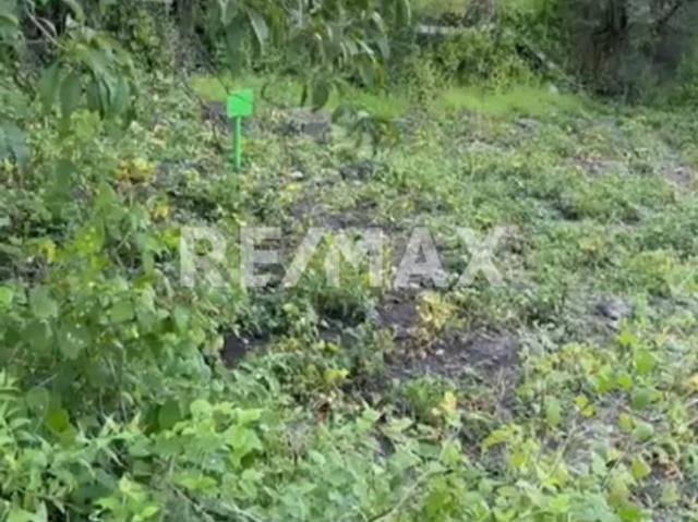 Terreno en Venta